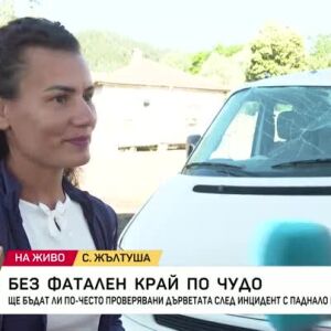 Снимка: Дърво падна върху движещ се автомобил