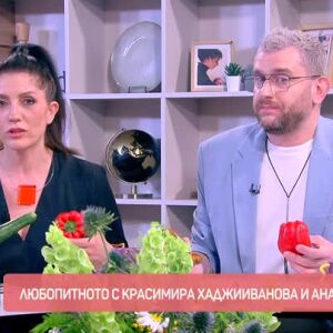 Снимка: Говорим за... Краставици и домати