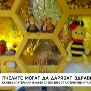Снимка: Как пчелна ферма у нас лекува с кошерен въздух?