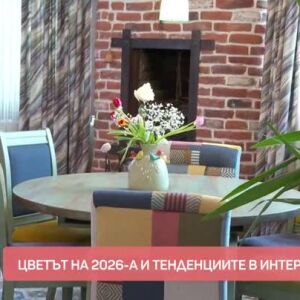 Снимка: Тенденции в декорацията и дизайна