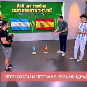 Снимка: Емоции от Световното по футбол и предсказания с петел