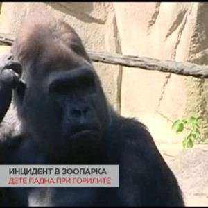 Снимка: Историите от света