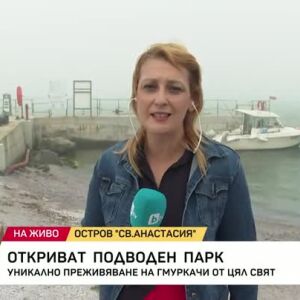 Снимка: Откриват подводен парк на морето