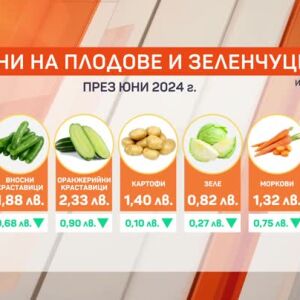Снимка: Колко ще ни струва салатата това лято?