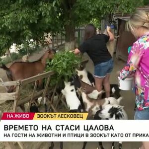Снимка: Стаси Цалова на гости в "Зоокът Лесковец"