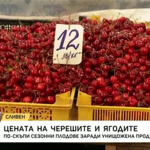 Снимка: Цената на черешите и ягодите