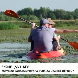 Снимка: Може ли една изолирана зона да оживее отново?