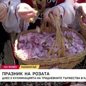 Снимка: Празник на розата