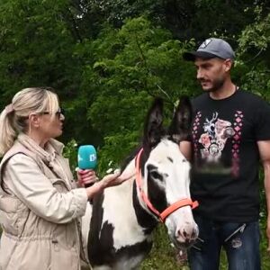 Снимка: Среща с магаре, което е... филмова звезда