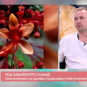 Снимка: Приключенията на Здравко Гицов извън туристическите маршрути
