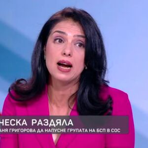 Снимка: Ваня Григорова: Не разбирам защо ГЕРБ налага на БСП да прави такива тежки компромиси,...