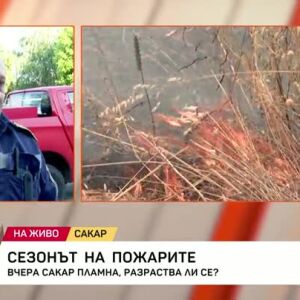 Снимка: Овладян ли е пожарът в Сакар?