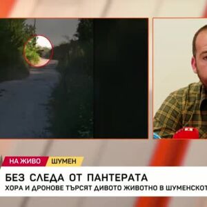 Снимка: Без следа от пантерата