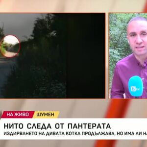 Снимка: Продължава издирването на хищника в Шумен