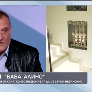 Снимка: Казусът "Баба Алино": За "вратичките" в закона