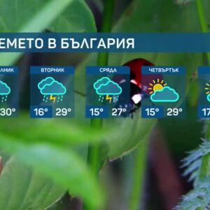 Снимка: Предимно слънчево в неделя