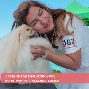 Снимка: Лапи, титли и морски бриз; Елитът на кучетата се събра в Обзор