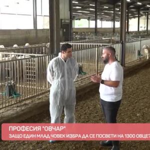 Снимка: Професия овчар: За какво да внимаваме, когато избираме млечни продукти?