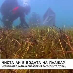 Снимка: Чиста ли е водата на плажа?