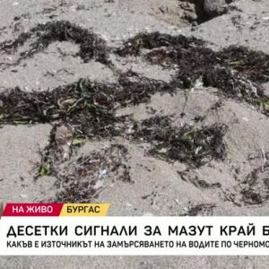 Снимка: Десетки сигнали за мазут край брега
