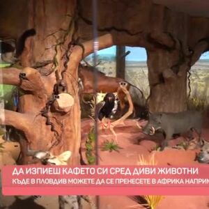 Снимка: Да си пиеш кафето сред диви животни...
