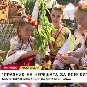 Снимка: Празник на черешата в Кюстендил