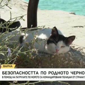 Снимка: Ръст при кражбите на плажа