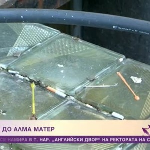 Снимка: Сметище до Алма Матер