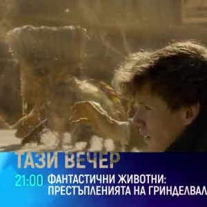Снимка: Фантастични животни: Престъпленията на Гринделвалд - днес от 21 ч. по bTV Cinema