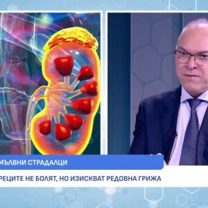 Снимка: Бъбречно здраве - бъбреците не болят, но изискват редовна грижа