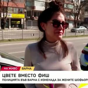 Снимка: Цвете вместо фиш