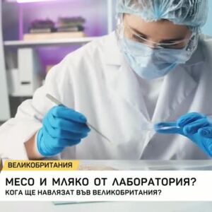 Снимка: Месо и мляко от лаборатория?