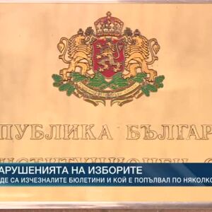 Снимка: Нарушенията на изборите