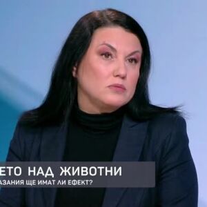 Снимка: Адвокат Мариета Караджова за по-строгите наказания за насилниците на животни