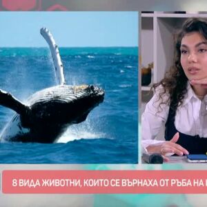 Снимка: Говорим за... животни, които се върнаха от ръба на изчезването
