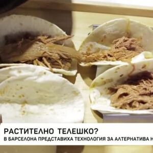 Снимка: Растително телешко