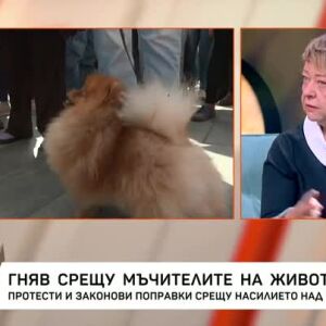 Снимка: Гняв срещу мъчителите на животни