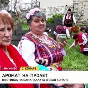 Снимка: Фестивал на самардалата в село Конаре