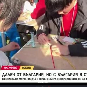 Снимка: Фестивал на мартеницата в Токио