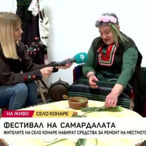Снимка: Фестивал на самардалата