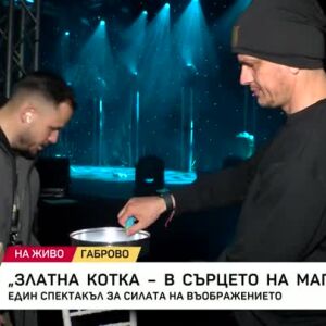 Снимка: Златна котка - в сърцето на магията