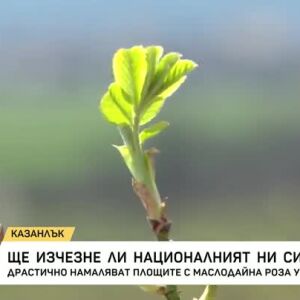 Снимка: Ще изчезне ли националният ни символ?