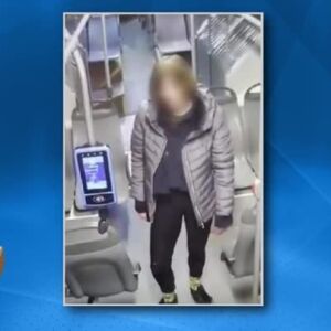 Снимка: Разказ на полицаите, задържали жената, която нападна с нож четирима
