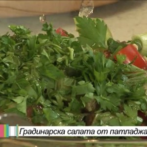 Снимка: Градинарска салата от патладжани