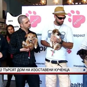 Снимка: Д2 търсят дом на изоставени кученца