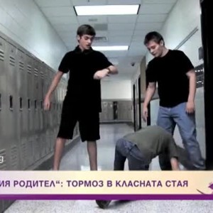 Снимка: "Професия родител": Тормоз в класната стая