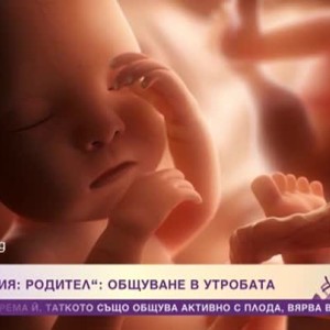 Снимка: Професия родител: Общуване в утробата