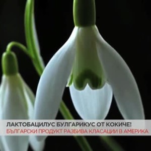 Снимка: Български продукт - любим на Опра Уинфри
