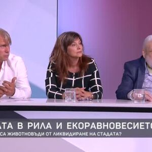 Снимка: Заплашени ли са животновъди от ликвидиране на стадата?