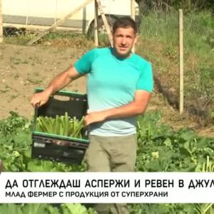 Снимка: Да отглеждаш аспержи и ревен в Джулюница